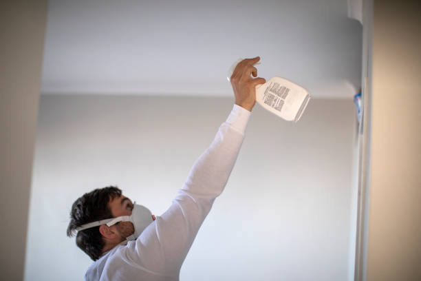 Mold Removal and Inspection in Hudson, NY