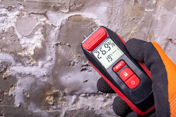 Trusted Hudson, NY Mold Removal Experts