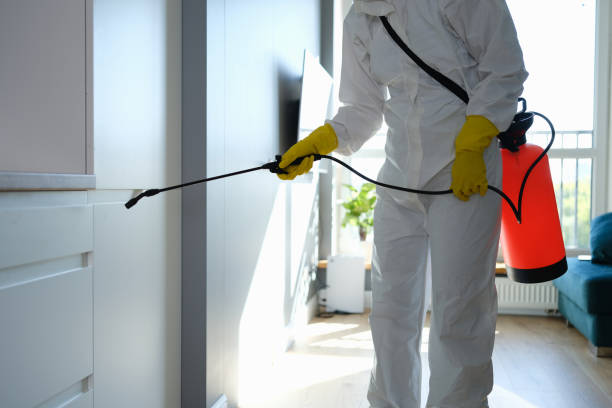 Best Professional Mold Removal  in Hudson, NY