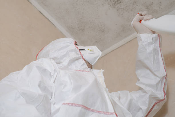 Best Mold Removal Process  in Hudson, NY